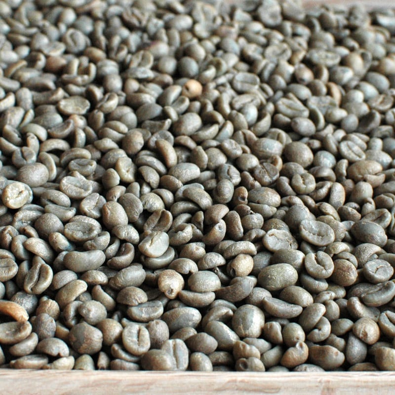 Green Forest Coffee -コーヒー生豆仕入れ-