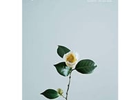 SPECTATOR｜特集「わび・さび」｜Vol.43