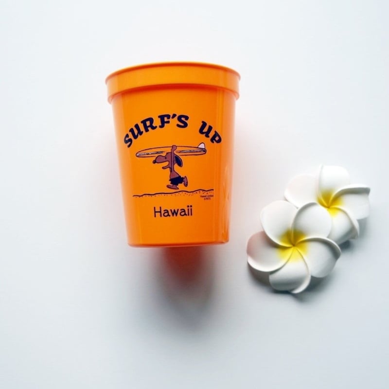 ハワイ 限定 日焼けスヌーピー ハワイ限定日焼けスヌーピーグッズ＆モニホノルル全3店舗