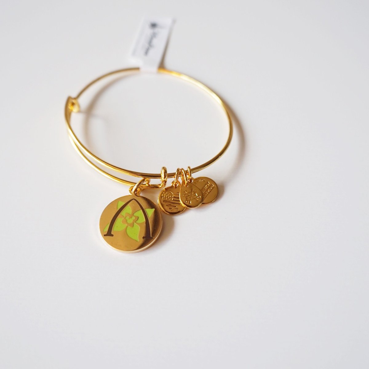 ALEX AND ANI/アレックスアンドアニ ハワイアウラニ限定 ブレスレット 