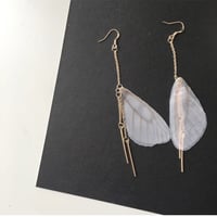 翼のピアス・イヤリング／両耳