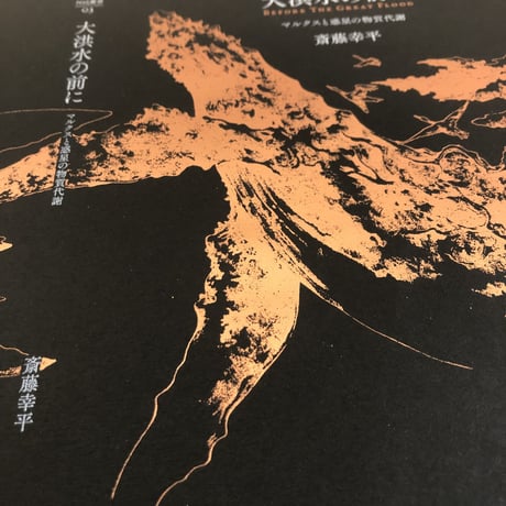 〔特装版　ウイスキーブラウン〕斎藤幸平『大洪水の前に：マルクスと惑星の物質代謝 』