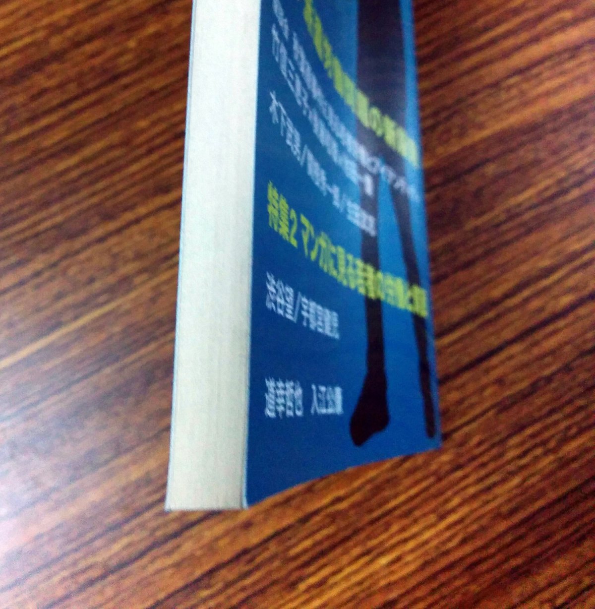 POSSE vol.1 | 堀之内出版ウェブストア