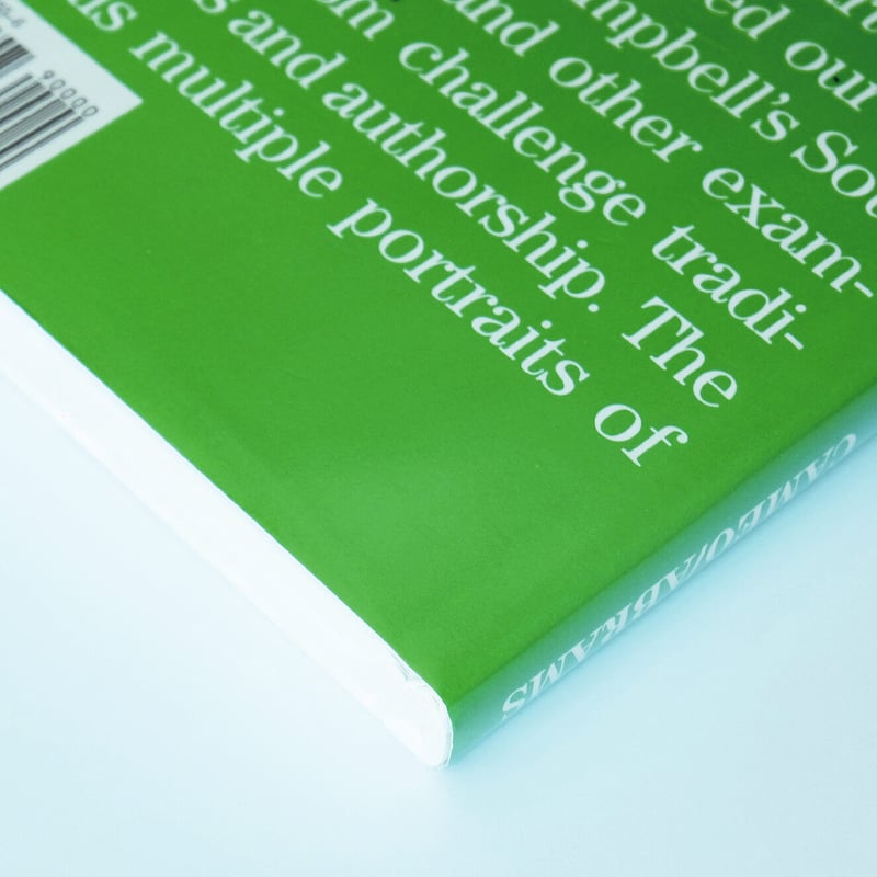 Andy Warhol: Great Modern Masters | Book Ernest