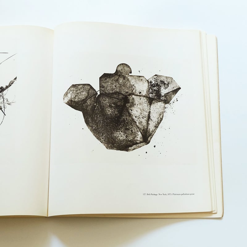 Irving Penn by John Szarkowski | Book Ernest