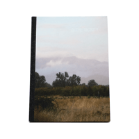 Ed Panar: In The Vicinity