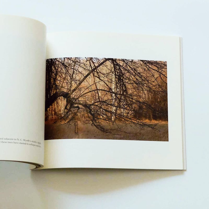 ジェームス・ウェリング 写真集　JAMES WELLING FLOWERS James Welling: Flowers | Books | David Zwirner