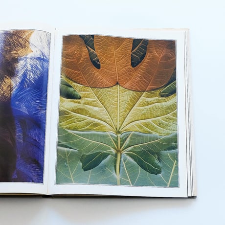 Sam Haskins: Photo Graphics