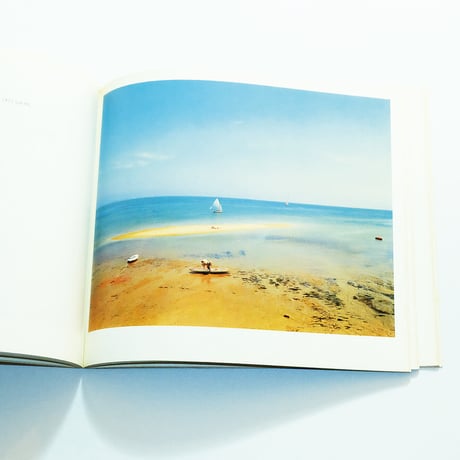 Cape Light: Color Photographs by Joel Meyerowitz