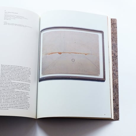 Josef Beuys with Fat and Felt
