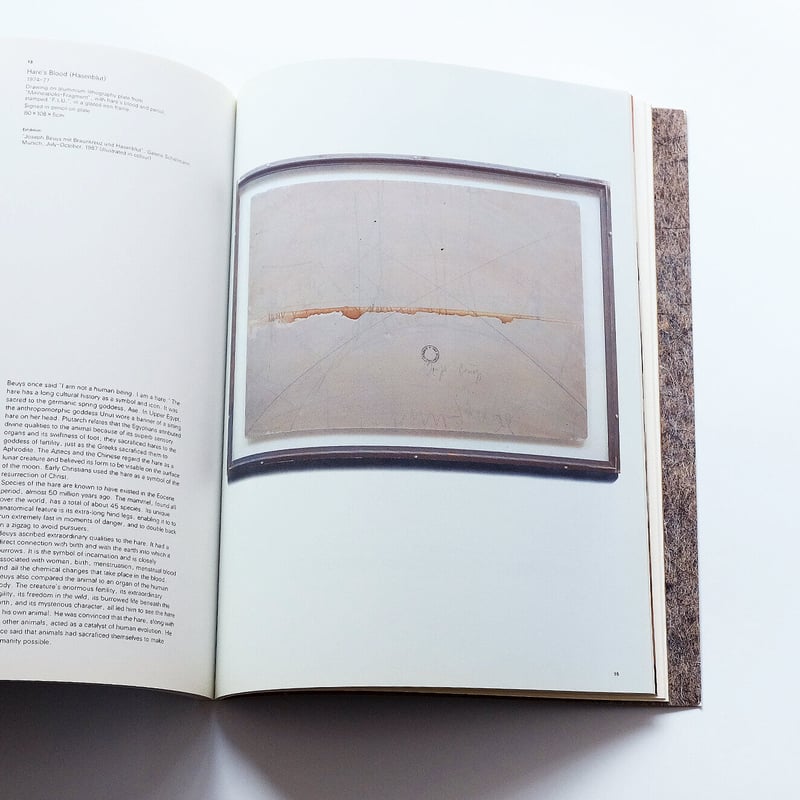 Josef Beuys with Fat and Felt | Book Ernest