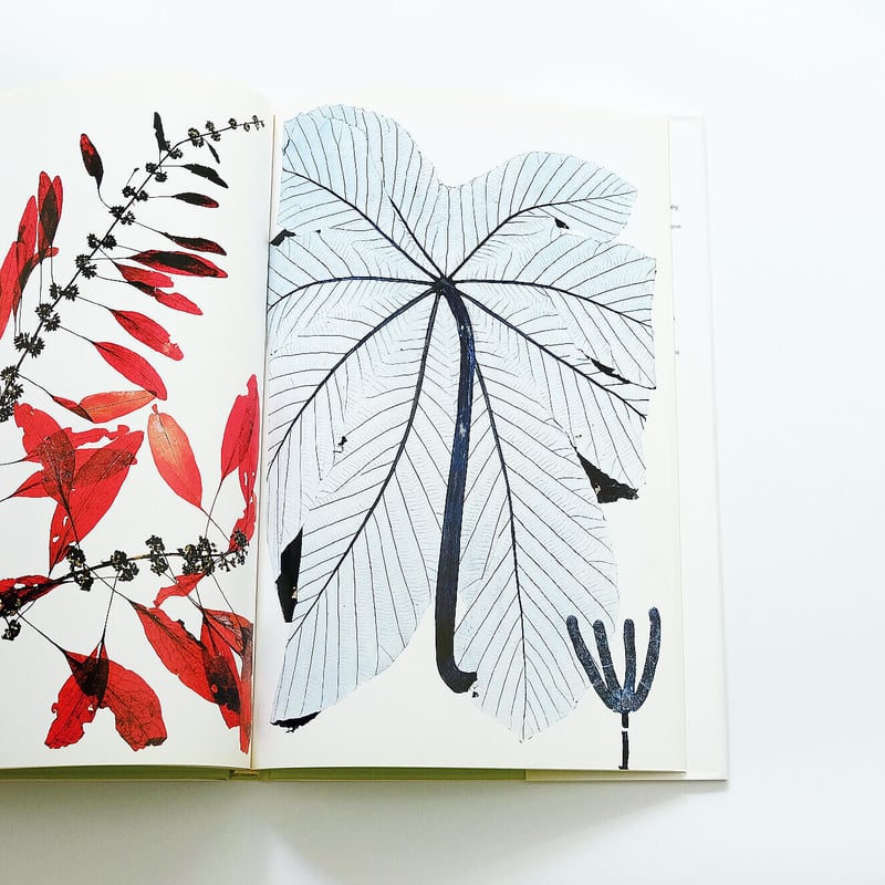 Nick Knight: Flora | Book Ernest