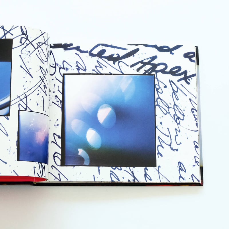 45301 by Viggo Mortensen | Book Ernest