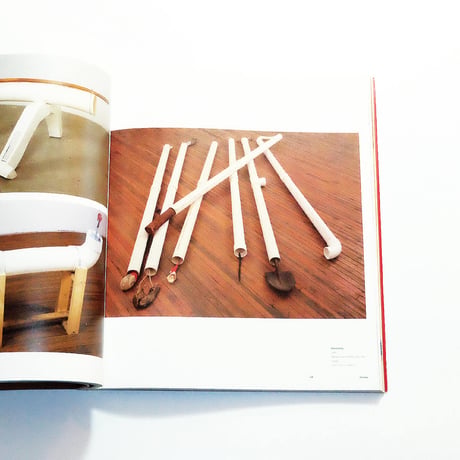 Jimmie Durham: Phaidon Contemporary Artists Series