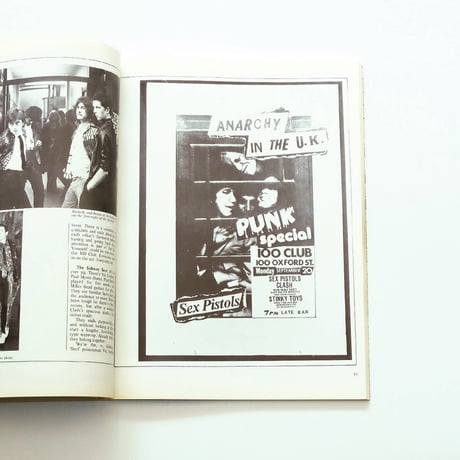 1988 The New Wave Punk Rock Explosion
