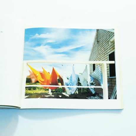 Cape Light: Color Photographs by Joel Meyerowitz