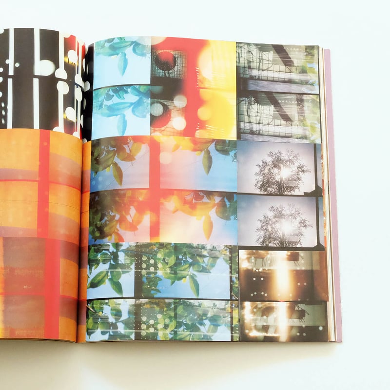 Process; A Tomato Project | Book Ernest