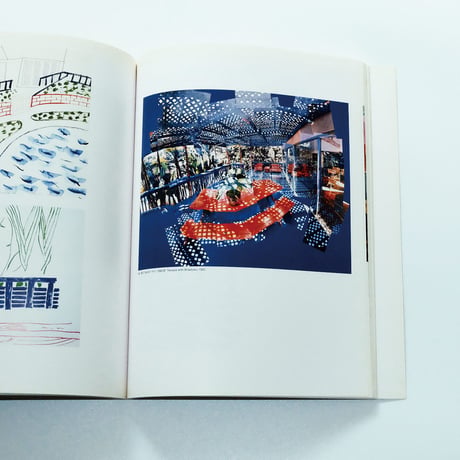 Hockney in California