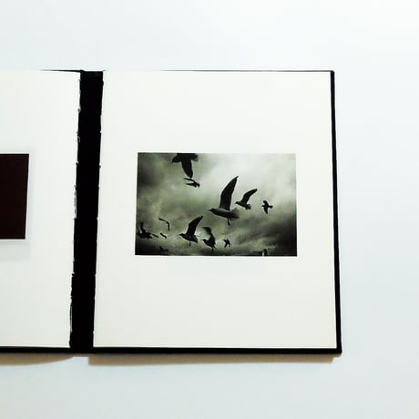Mateusz Sarello: Swell