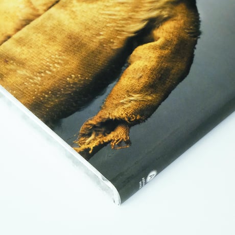Much Loved: Photographs by Mark Nixon