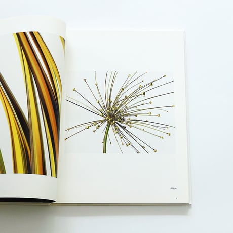 Fleur Olby: Plant Portraits
