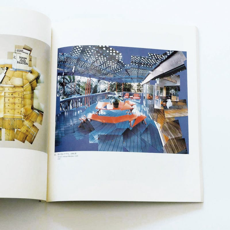 David Hockney: 1989 Exhibition | Book Ernest