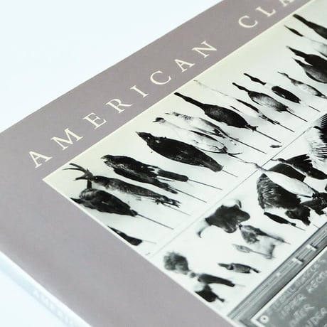 American Classroom: The Photographs of Catherine Wagner