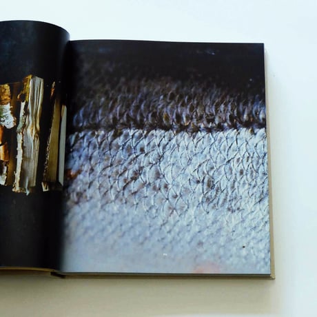 Noma: Time and Place in Nordic Cuisine
