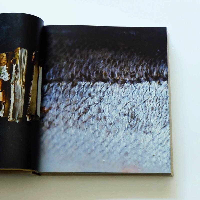 Noma: Time and Place in Nordic Cuisine | Book E