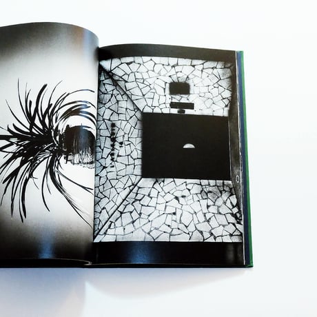 Yusuf Sevincli: Walking