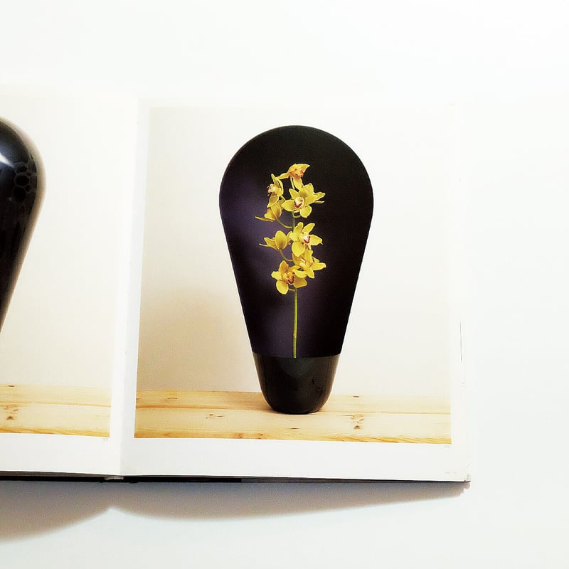 Ronan and Erwan Bouroullec: Phaidon | Book Ernest