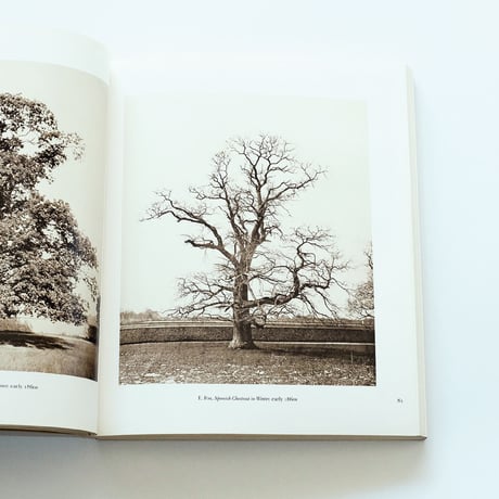 Photography Until Now