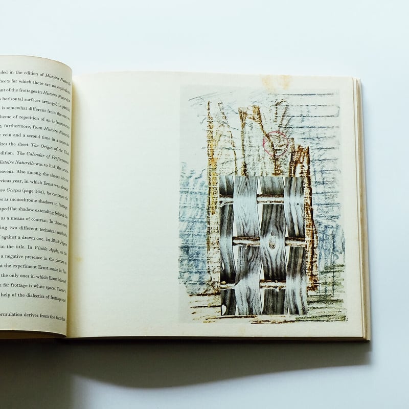 Max Ernst: Frottages | Book Ernest
