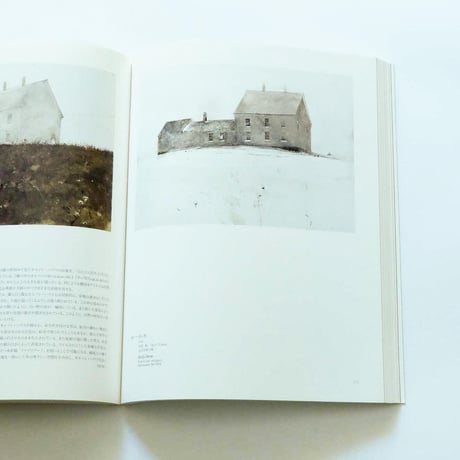 Andrew Wyeth: Emotion and Creation