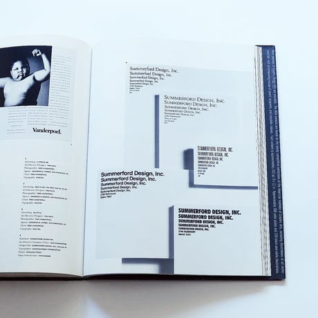 AIGA: Graphic Design USA 13