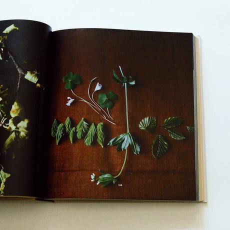 Noma: Time and Place in Nordic Cuisine