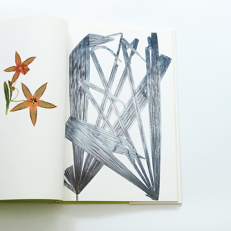 Nick Knight: Flora | Book Ernest