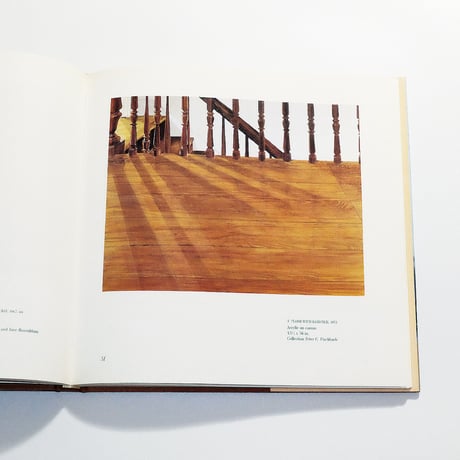 The Paintings of Sylvia Plimack Mangold