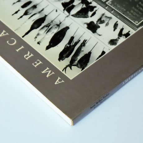 American Classroom: The Photographs of Catherine Wagner