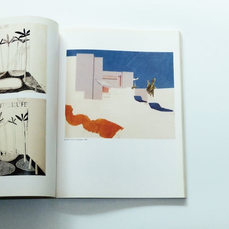 Hockney in California
