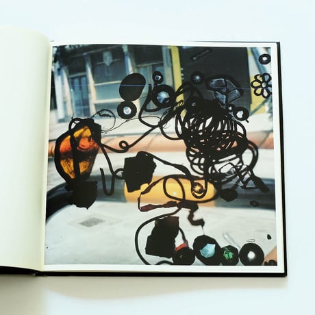 Stephen Gill: Talking to Ants