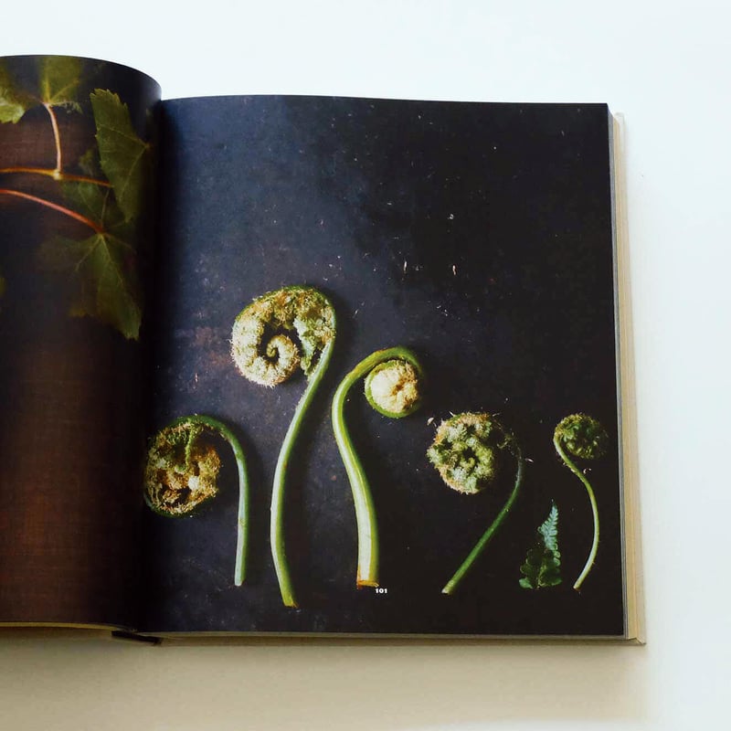 Noma: Time and Place in Nordic Cuisine | Book E