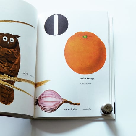Bruno Munari′s ABC
