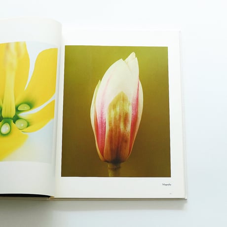 Fleur Olby: Plant Portraits