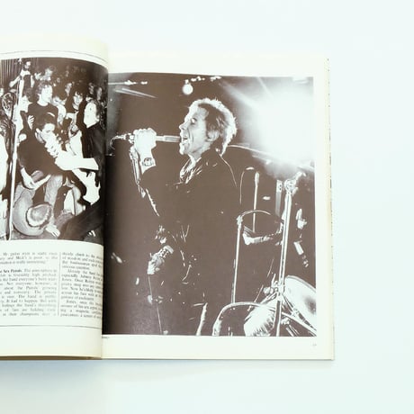 1988 The New Wave Punk Rock Explosion