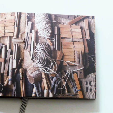 The Life of a Bowerbird by Sibella Court