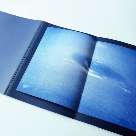Melanie Matthieu: Lamo Lava