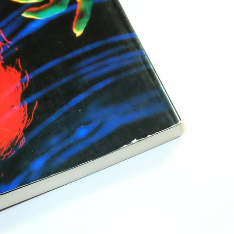 Lucas Samaras / Self: 1961-1991