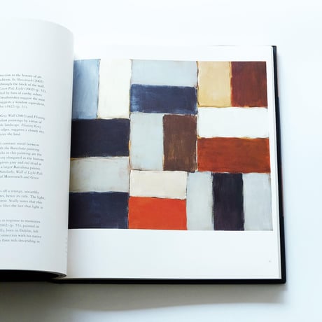 Sean Scully: Wall of Light