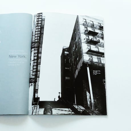 Andre Kertesz: STERN Fotografie Portfolio No.31